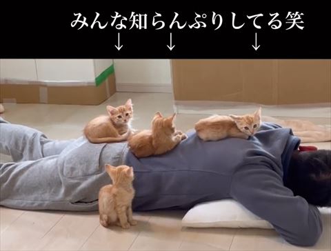 みんな知らんぷりテロップ