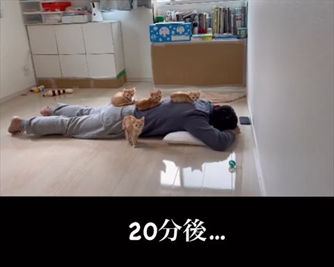 20分後テロップ