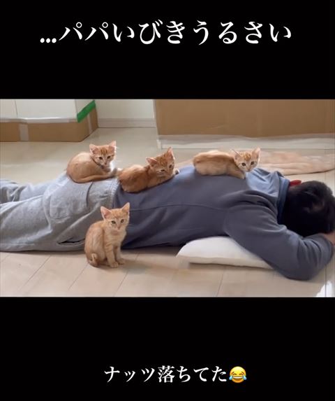 パパいびきうるさいテロップ