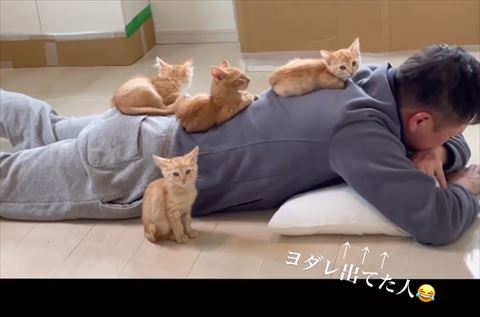 ヨダレ出てた人テロップ