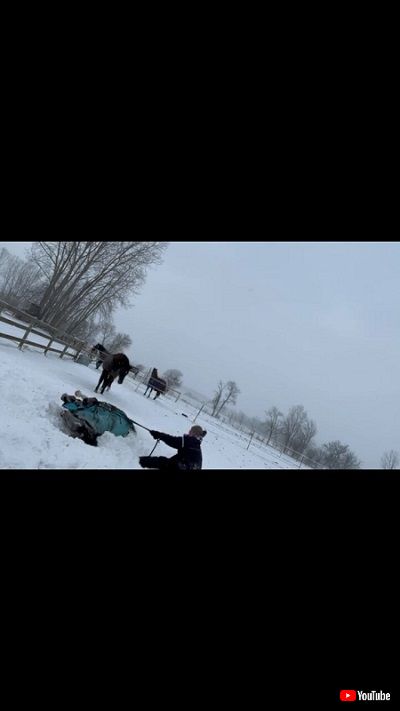 馬を助ける女性