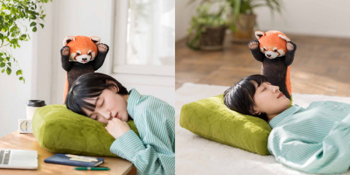 【未開封2セット】レッサーパンダに威嚇されるお昼寝クッション YOU+MORE! レッサーパンダに威嚇される お昼寝クッション｜YOU+