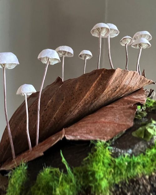 紙で作ったキノコ