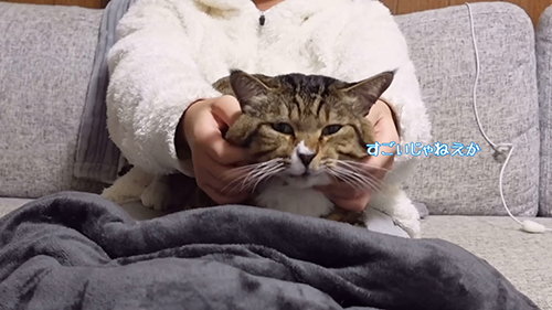 すごいじゃねえか