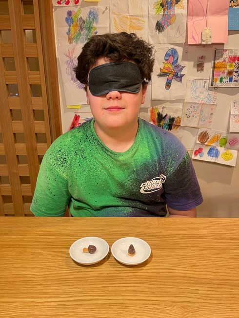 駐日ジョージア大使 親戚 子ども きのこの山 たけのこの里 1本勝負