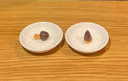 駐日ジョージア大使 親戚 子ども きのこの山 たけのこの里 1本勝負