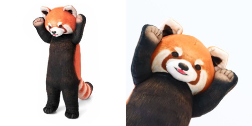 「レッサーパンダに威嚇されるお昼寝クッション」