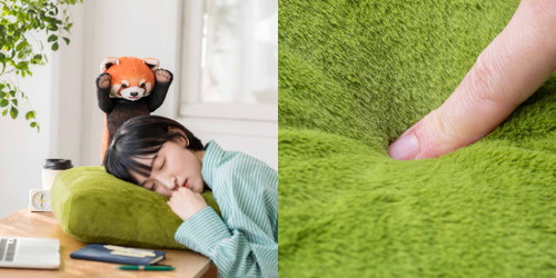 「レッサーパンダに威嚇されるお昼寝クッション」