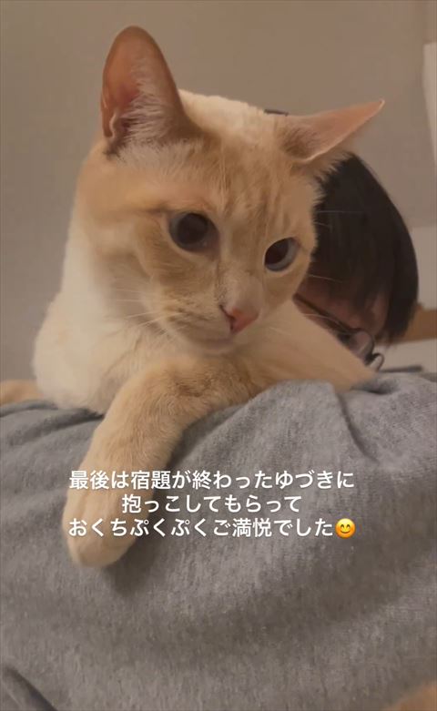 ご満悦でしたテロップ