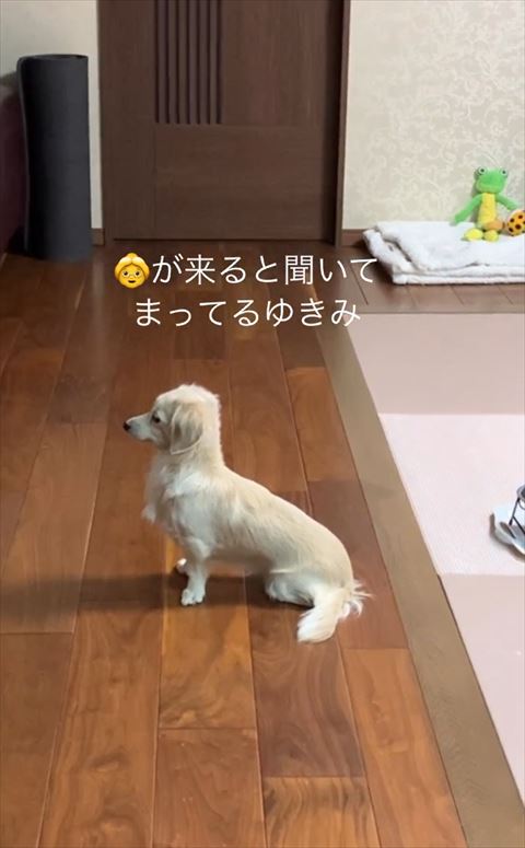 待ってるゆきみテロップ