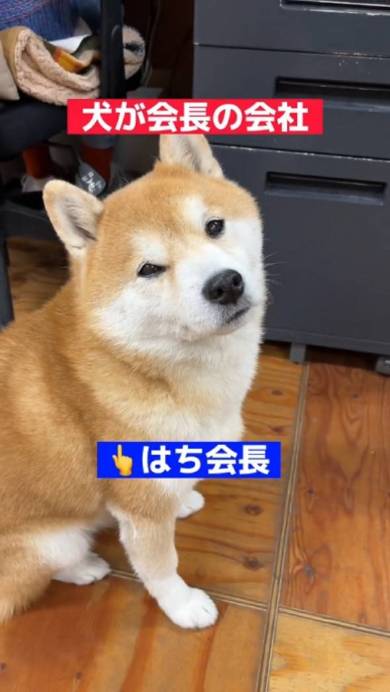 オススメ