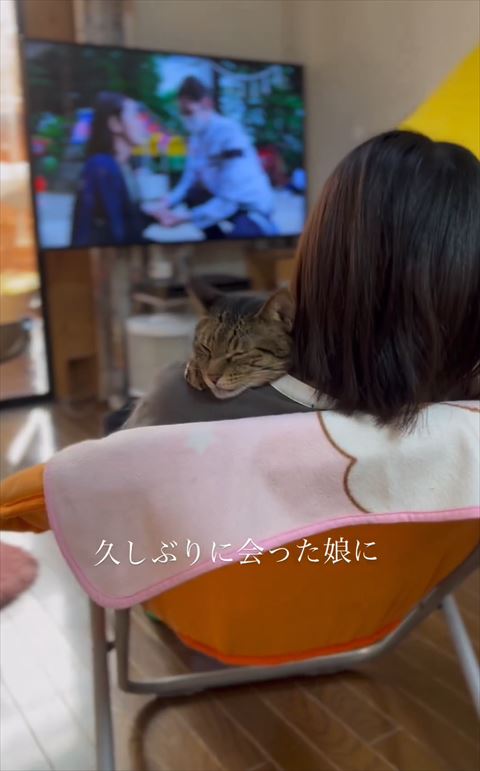 保護猫