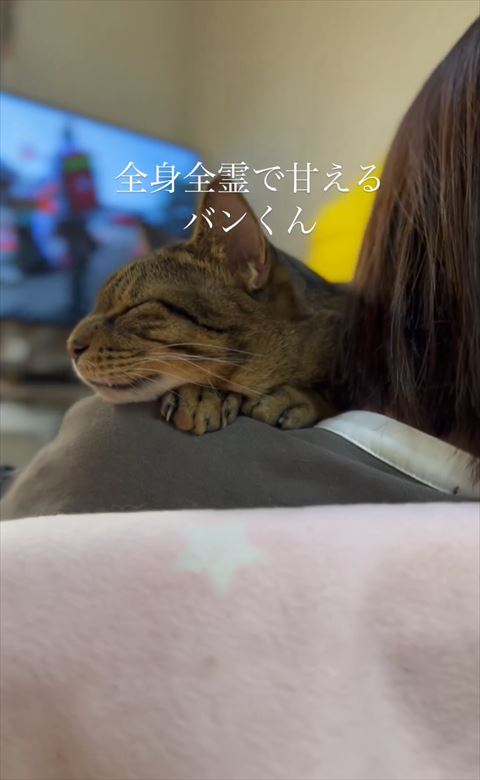 全身全霊で甘えるテロップ