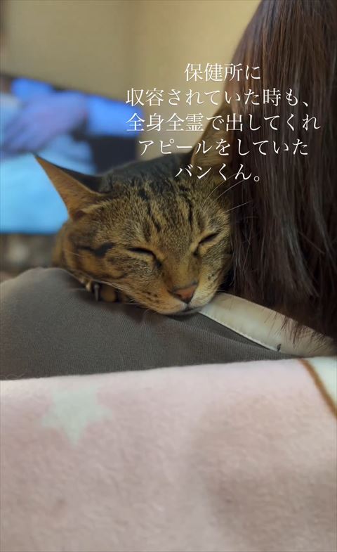 保健所にいたときもテロップ