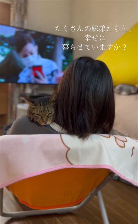 たくさんの姉弟たちとテロップ