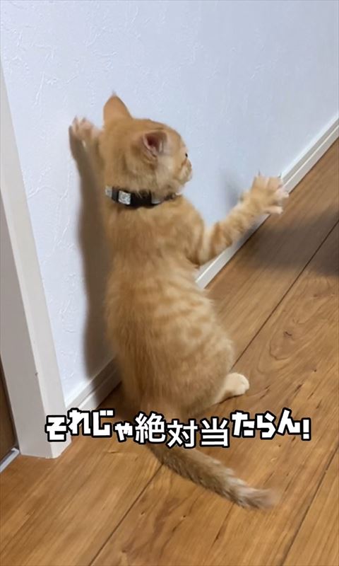 それじゃ絶対当たらんテロップ