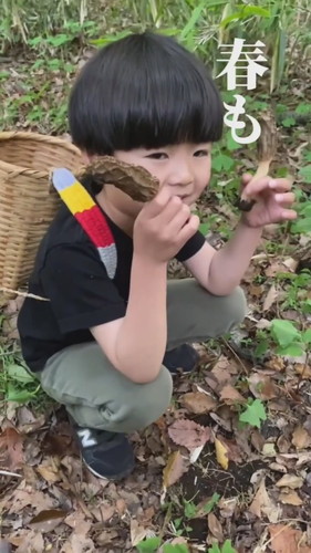 「きのこシーズン終了のお知らせ」