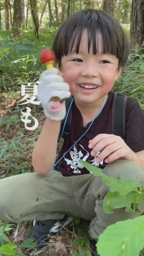 「きのこシーズン終了のお知らせ」