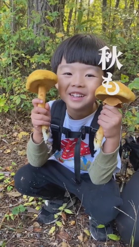 「きのこシーズン終了のお知らせ」