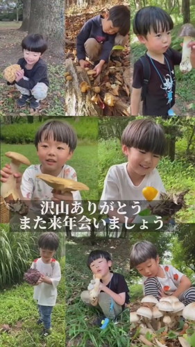 「きのこシーズン終了のお知らせ」