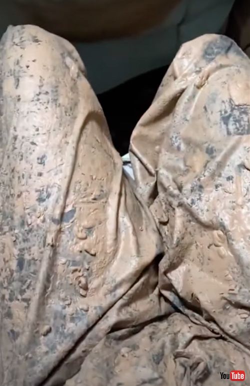 どろんこまみれになったハスキー犬