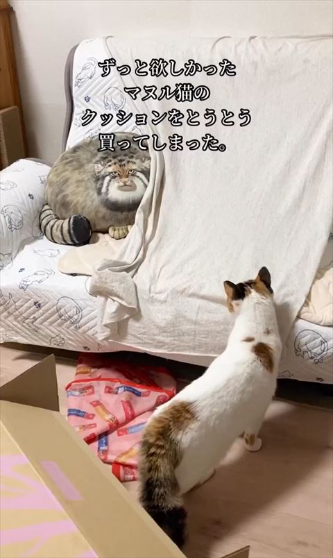 クッションをとうとう買ってしまったテロップ