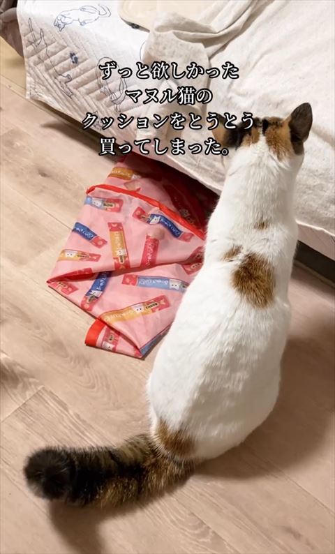 お座り猫ちゃん後ろ姿