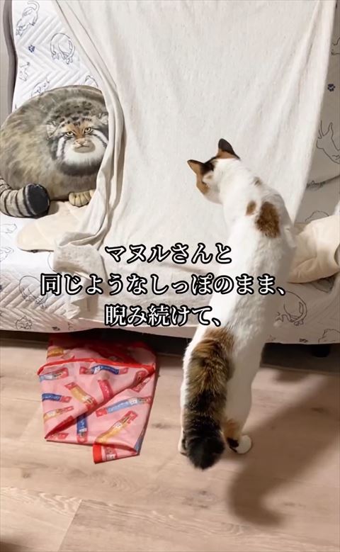 睨み続けてテロップ