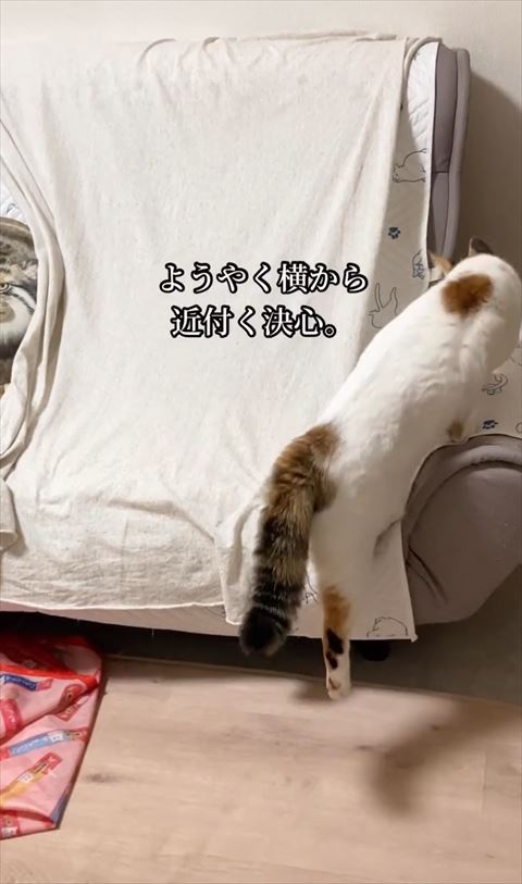 ようやく横から近づくテロップ