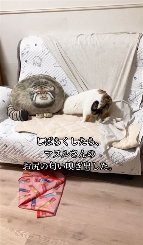 お尻の匂い嗅ぎだしたテロップ