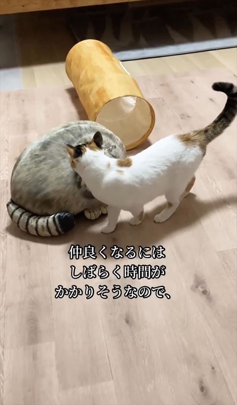 仲良くなるには時間がかかりそうテロップ