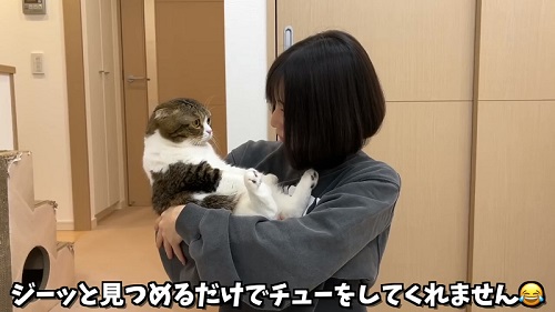 けげんそうな猫