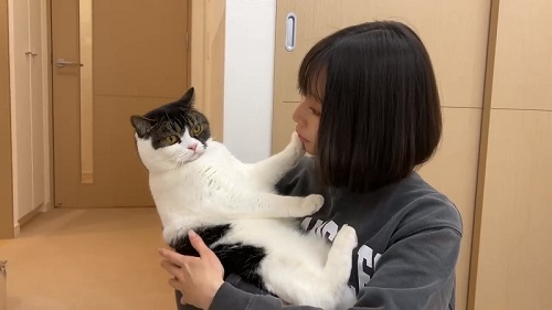 避ける猫