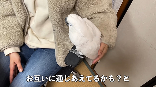 互いに通じあえているかも