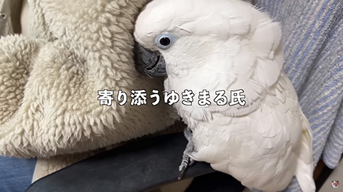 寄り添うゆきまる氏