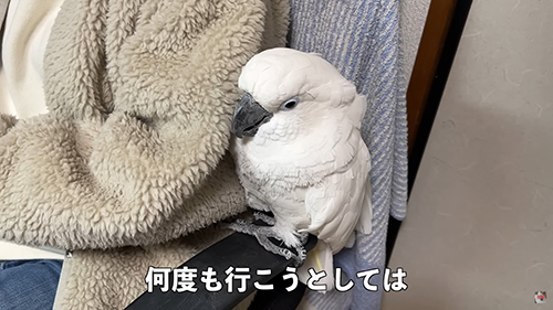 前に行こうとしては