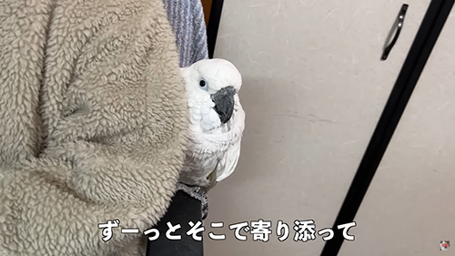 ずっと寄り添って