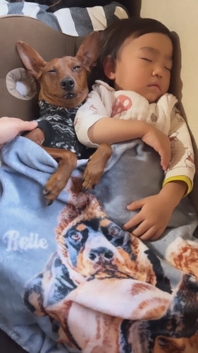 息子くんとししまるくん