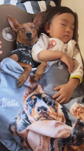 息子くんとししまるくん