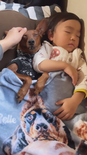 息子くんとししまるくん