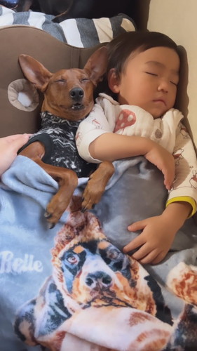 息子くんとししまるくん