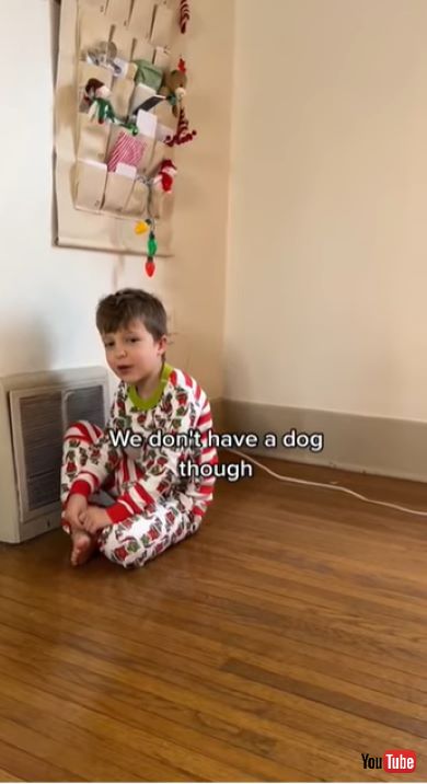 子犬のサプライズ