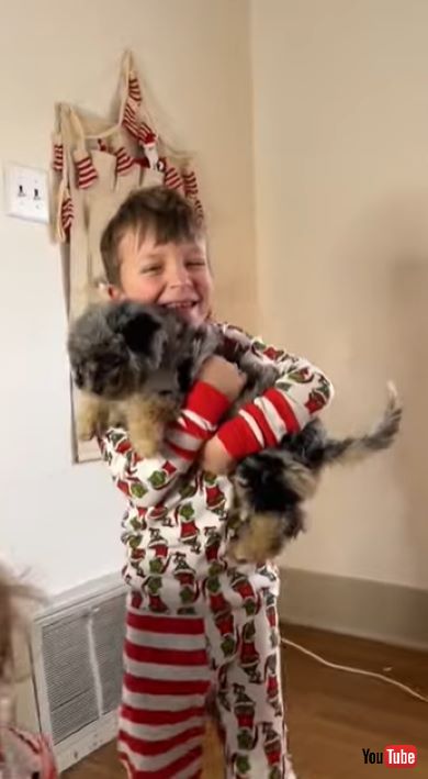 子犬のサプライズ