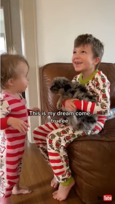 子犬のサプライズ