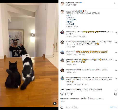 藤あや子と愛猫のマルとオレオ