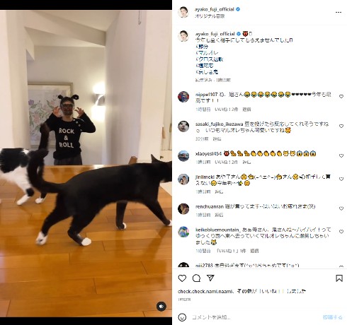 藤あや子と愛猫のマルとオレオ