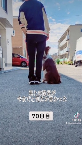 脚側行進の訓練をするワンちゃん