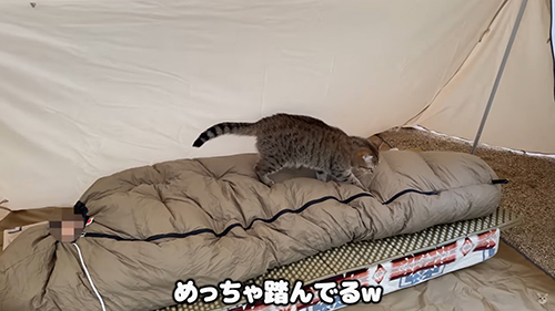 めっちゃ踏んでる