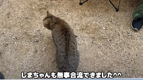 しまちゃん合流