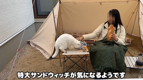 特大サンドウィッチ